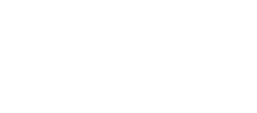 Maison Dash — Designer furniture for dogs